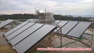 Cách bảo dưỡng máy bơm nhiệt Heat Pump